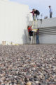 Installing a bee colony on the roof of the Weisman Art Museum, University of MInnesota.