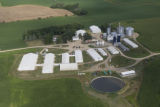 Pig farm with manure lagoon, Waseca County.