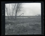 Background, Snipe marsh