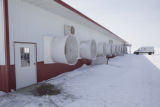 Robotic milking parlor on a dairy farm in Stearns County.