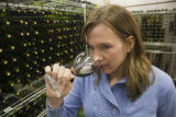 Katie Cook, Enology Project Leader doing sensory evaluation of Minnesota wines at the Horticultural Research Center.