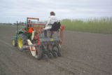 Planting barley plots to test disease resistance in plants with inserted genes.