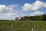 Tug Hill Vineyard, Lowville, New York.