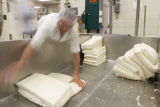 Making cheddar cheese in the Pilot Plant in the Food Science and Nutrition Building, St. Paul campus, University of MInnesota.