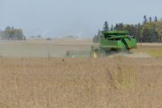 Harvesting soybeans on the Craven farm in Jackson County, Minnesota.