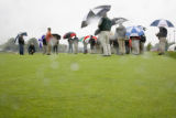 Turf grass research on St. Paul Campus, University of Minnesota.