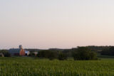 Corn field in Carver County, Minnesota, near Cologne, on U.S. Hwy. 212.