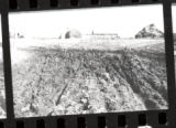 Crookston Campus. Copies of Antique Photos