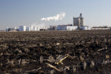 Ethanol plant at Lamberton, Minnesota with corn residue plowed under in field.