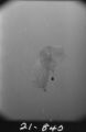 Flight 21 image 840