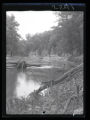 Root River with branch in water