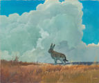 The Jackrabbit