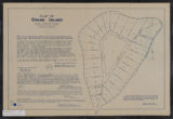 Plat of Crane Island, Lake Minnetonka, Hennepin County, Minn : Feb. 1907