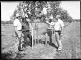 Four people at the Tree Farm