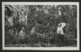 Four unidentified people in a garden at a house