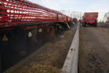 Beef research and education at the University of Minnesota, Rosemount Research and Outreach Center.