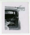 Dead wolves in back of vehicle at Cloquet Foresty Experiment Station