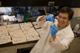 Enzyme engineering and nanotechnology. Research of biofuel biopolymers and specialty chemicals. Development of self-cleaning coatings.