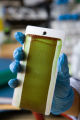 Enzyme engineering and nanotechnology. Research of biofuel biopolymers and specialty chemicals. Development of self-cleaning coatings.