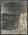 Fireplace inside of a dilapidated house