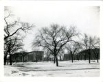 Campus Views. Minneapolis Campus. The Mall - Looking N.E. towards physics