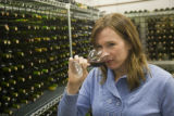 Katie Cook, Enology Project Leader doing sensory evaluation of Minnesota wines at the Horticultural Research Center.
