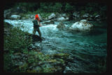 Red Sprague fishing