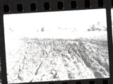 Crookston Campus. Copies of Antique Photos