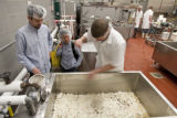 Making cheddar cheese in the Pilot Plant in the Food Science and Nutrition Building, St. Paul campus, University of MInnesota.