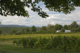 Lincoln Peak Vineyard and Winery, New Haven, Vermont.