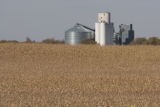 Truman, Minnesota grain elevator and corn fields in Martin County.
