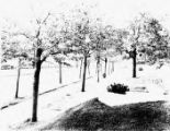 Purcell, William Gray - residence