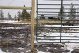 Bovine TB research and control in northern Minnesota, to prevent spread of disease between livestock (primarily cows) and wild deer.
