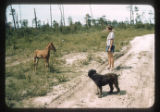 Near Houston, Texas