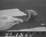 Flight 37 image 1235