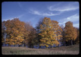 Carver County
