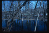 Mississippi River Floodplain at high water at Logan Avenue North and West River Road North