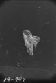 Flight 19 image 797
