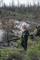 Nick Fisichelli on shoreline of Sea Gull Lake, a year after July, 2006, Cavity Lake Fire.