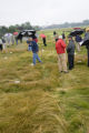 Turf grass research on St. Paul Campus, University of Minnesota.