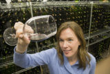 Katie Cook, Enology Project Leader doing sensory evaluation of Minnesota wines at the Horticultural Research Center.