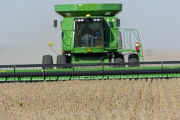 Harvesting soybeans on the Craven farm in Jackson County, Minnesota.