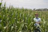 Corn rootworm susceptibility in some lines of BT corn.