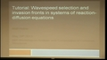 Mini-Symposium: Wavespeed Selection in Systems of Reaction-Diffusion Equations