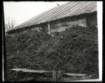 Barn with manure piled up to eaves