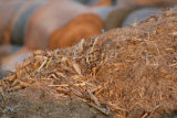 Biomass and wind power, alternative energy research at the University of Minnesota, West Central Research and Outreach Center, Morris.