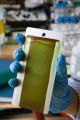 Enzyme engineering and nanotechnology. Research of biofuel biopolymers and specialty chemicals. Development of self-cleaning coatings.