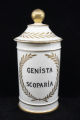Genista Scoparia apothecary jar