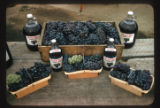 Beverages, grape juice
