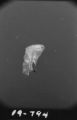 Flight 19 image 795